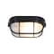 Access Lighting Nauticus Dual Mount, 1 Light Outdoor Bulkhead, Black Finish, Frosted Glass 20290-BL/FST - alternate 2